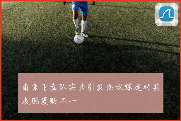 南京飞盘队实力引发热议球迷对其表现褒贬不一